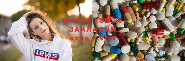 a pvp Аркадак