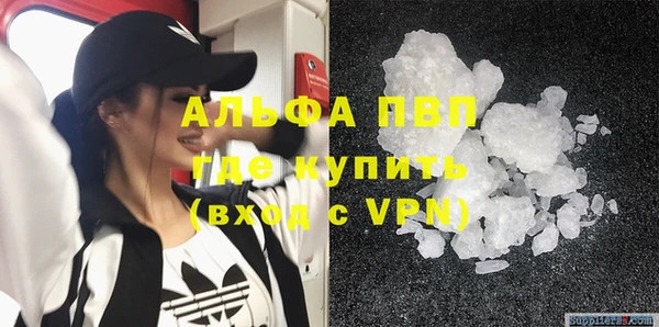 a pvp Аркадак