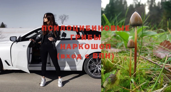 apvp Алексин
