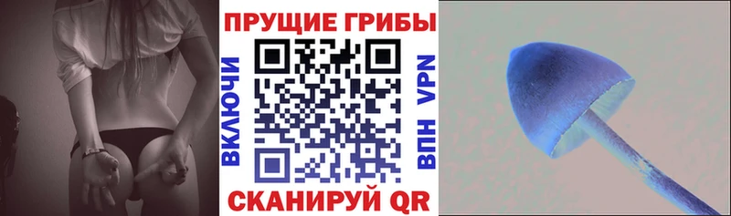 сколько стоит  omg онион  Псилоцибиновые грибы Magic Shrooms  Рузаевка 